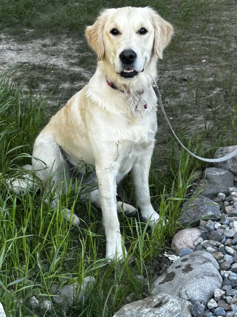 Oakley pic